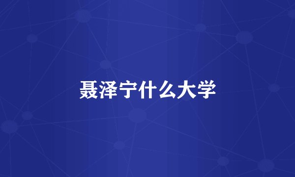 聂泽宁什么大学