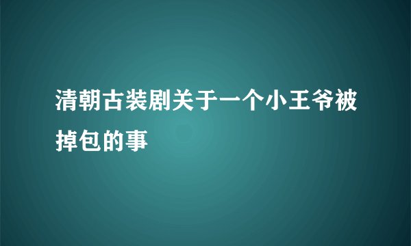 清朝古装剧关于一个小王爷被掉包的事