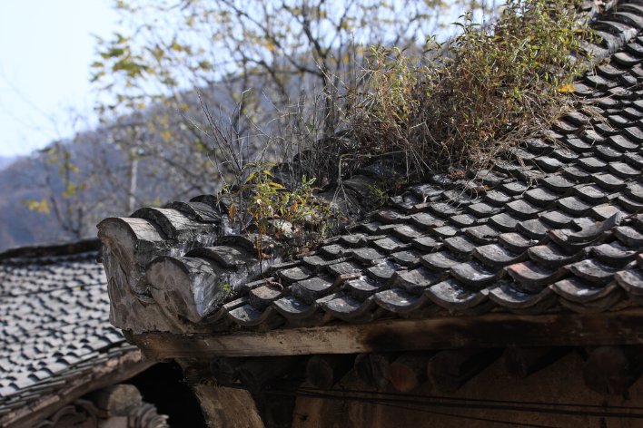 饱经风霜的老屋写一句话