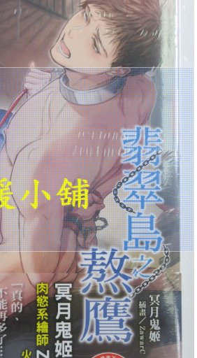 翡翠岛之熬鹰一共有几部？