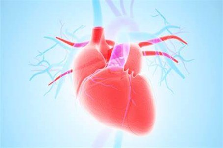 心血是什么意思