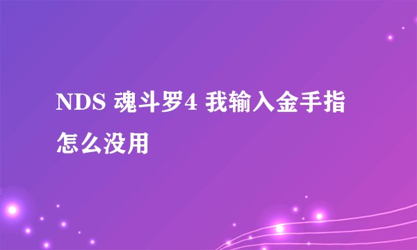 NDS 魂斗罗4 我输入金手指怎么没用