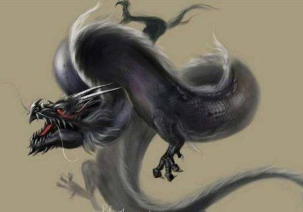 历史上有关于目击龙的真实报道吗？