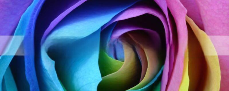 老婆姐姐的女儿叫什么称呼