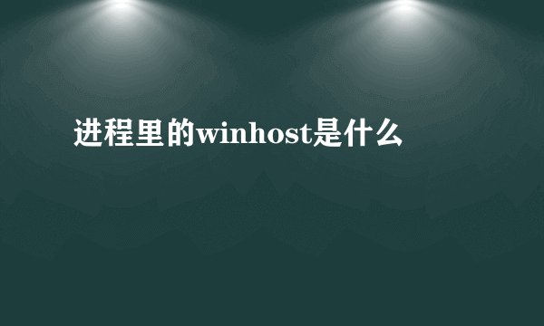 进程里的winhost是什么