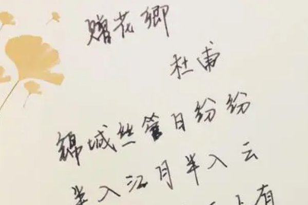 锦城什么日纷纷