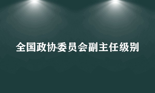全国政协委员会副主任级别