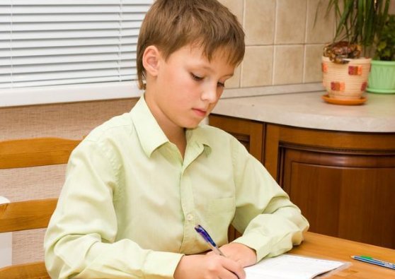 查缺补漏的含义是什么？