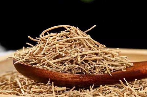 长卿是什么意思