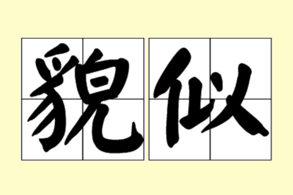 貌似是什么意思