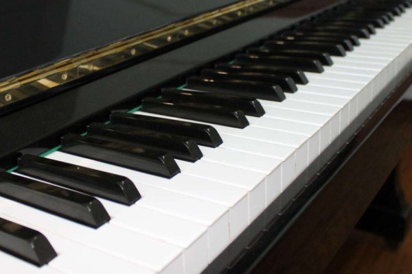 piu音乐术语是什么？