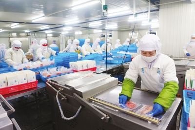 东北亚经济圈的介绍