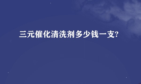 三元催化清洗剂多少钱一支?