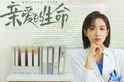 宋茜主演的电视剧全部