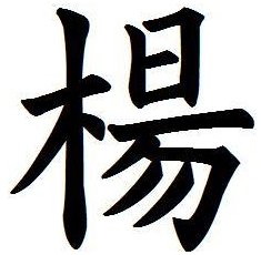 杨的正确笔顺怎么写