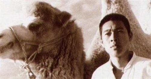 骆驼祥子中，祥子的最后结局是什么？