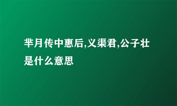 芈月传中惠后,义渠君,公子壮是什么意思