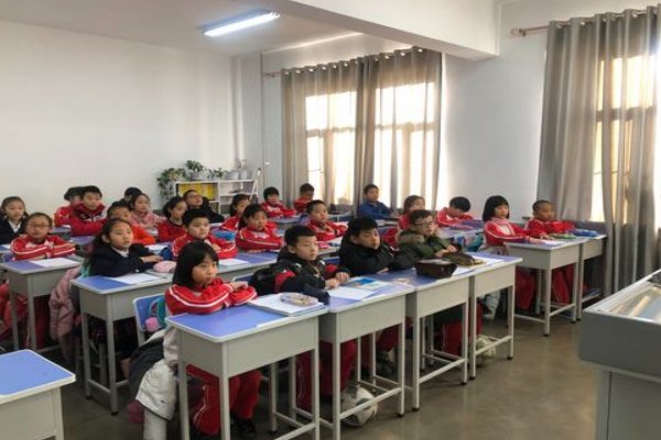 《小岛》这篇课文的背景是什么呢？