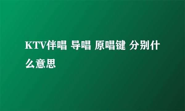 KTV伴唱 导唱 原唱键 分别什么意思