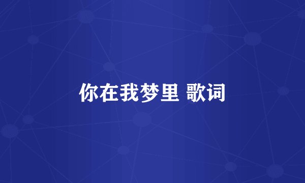 你在我梦里 歌词