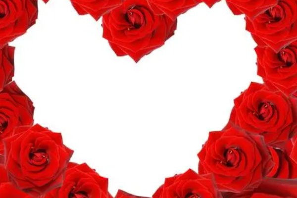 一我们和地球-你知道吗?玫瑰最早并不是花名,而是一种美食宝石题目来源-答答星