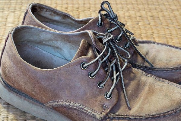 旧鞋子的新生活作文三年级300字