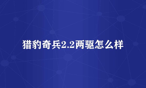 猎豹奇兵2.2两驱怎么样