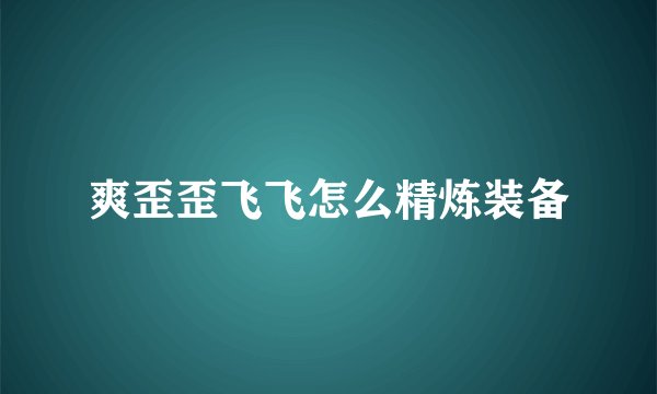 爽歪歪飞飞怎么精炼装备