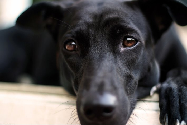 let me do it for you什么意思？