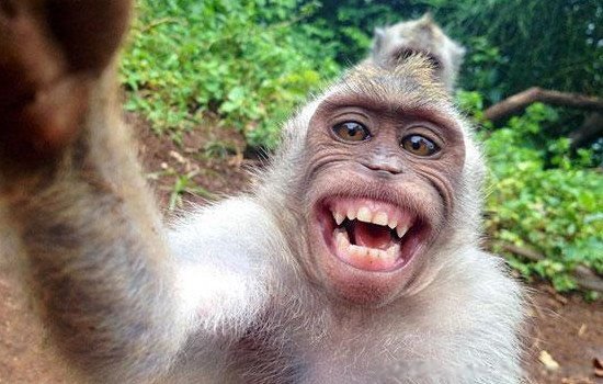 一张图片笑死10亿人 蒙娜丽莎也开始抽烟了