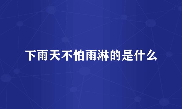 下雨天不怕雨淋的是什么