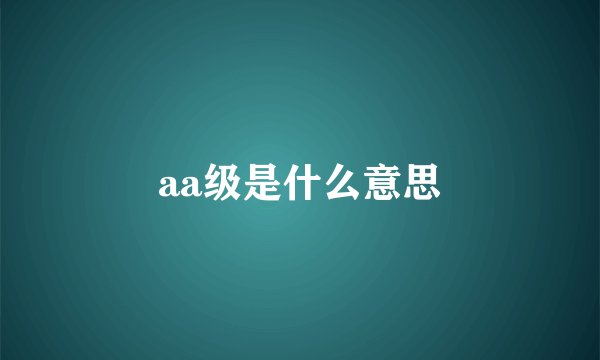 aa级是什么意思
