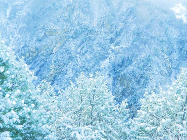 雪白是什么颜色