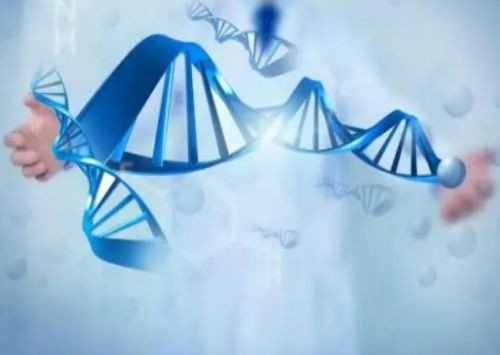 聚合度是什么？