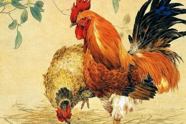 败寇成王打一正确生肖动物