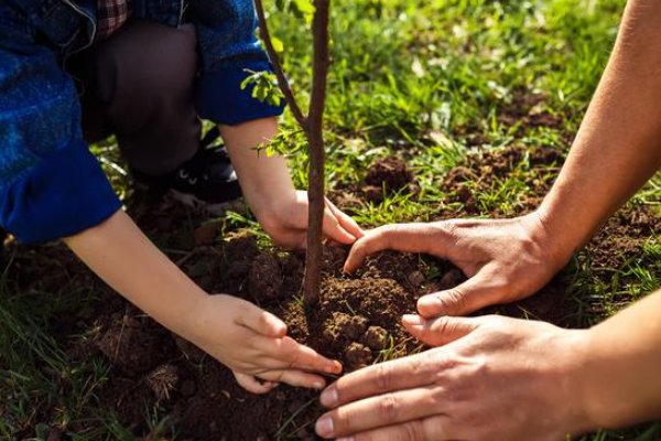 ecosia是否安全？