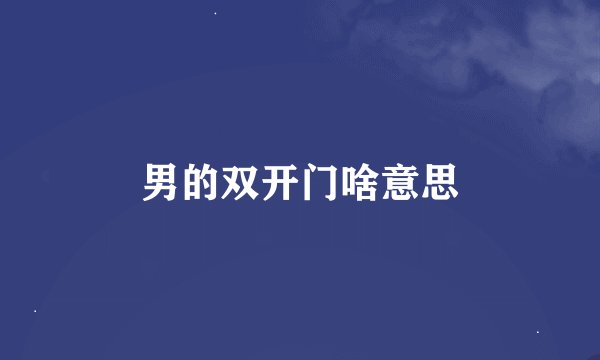 男的双开门啥意思