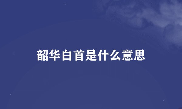 韶华白首是什么意思