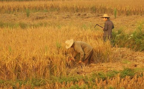 日、大、思、风同时组词，是哪个词？