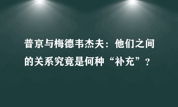 普京与梅德韦杰夫：他们之间的关系究竟是何种“补充”？