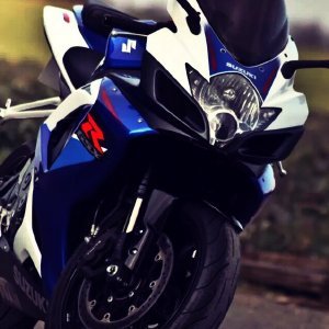 张光芒的个人简介