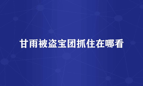 甘雨被盗宝团抓住在哪看