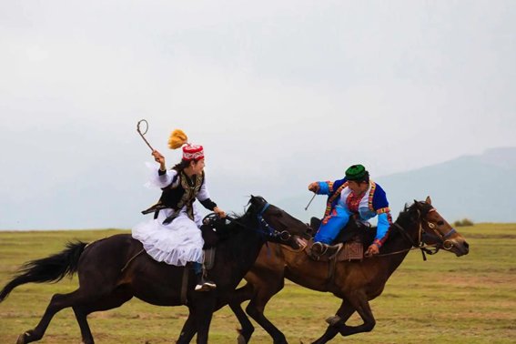 骋的意思和含义