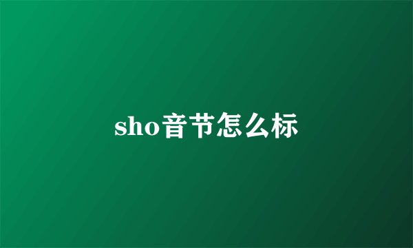 sho音节怎么标