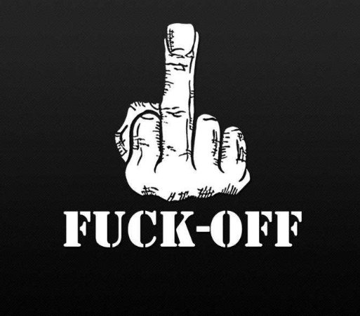 what the fuck什么意思？