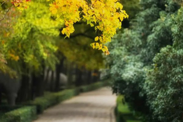 岁月无恙什么意思