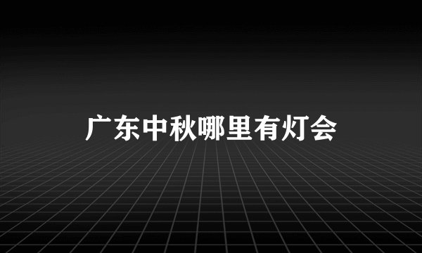 广东中秋哪里有灯会