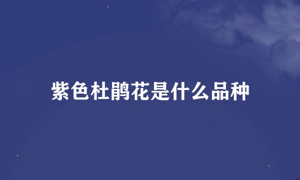紫色杜鹃花是什么品种