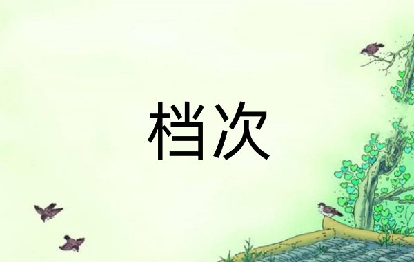 档次是什么意思