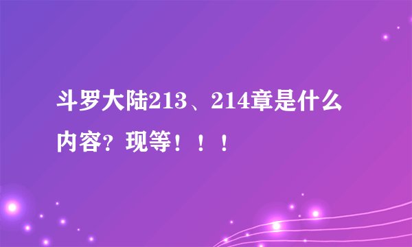 斗罗大陆213、214章是什么内容？现等！！！